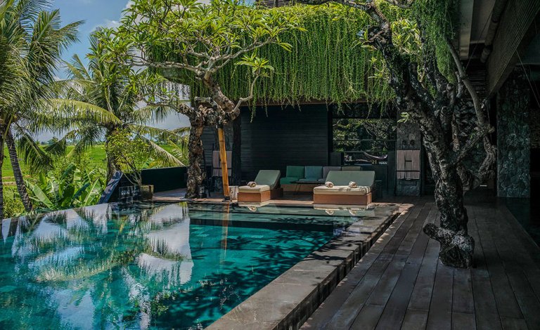 Pool view Villa Mana, Canggu