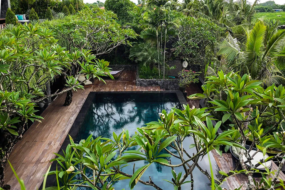 Villa-Mana-Pool-view-in-the-tropics Villa Mana - Villa Gallery